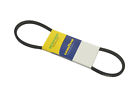 84999 Continental Elite Goodyear Accessory Drive Belt
