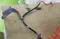 Ac3z-2078-b Ford 08 09 10 F250 350 Cyl 6.8l New Oem Hose Assy Brake