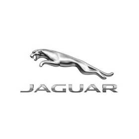 Xr852339 Jaguar Genuine Cable