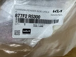 Genuine Kia Upper Molding 877F2-R5300 K12. Fixed Price $32.99.