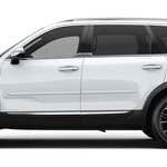 For: Kia 2020-2026 Painted Body Side Moldings #FE-TELLURIDE20. Fixed Price $188.39.