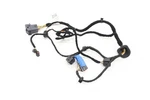 2020 - 2025 Alfa Romeo Giulia Rear Left Door Wire Wiring Harness Oem 00505459720. Fixed Price $33.66.