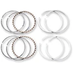 Hastings Replacement Piston Rings Fits H-d Evolution 6164. Fixed Price $46.04.