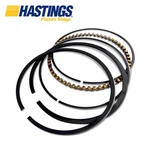 Hastings Piston Rings Standard 2C5645. Fixed Price $23.62.