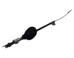 Gm Front Parking B (SLP-P1) 19316529 New Oem. Fixed Price $240.81.